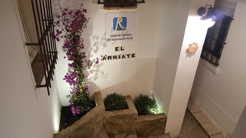 Apartament El Arriate De Vejer Vejer de la Frontera Zewnętrze zdjęcie